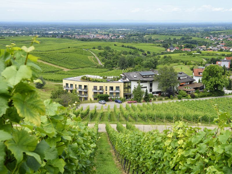 Wilkommen beim Hotel Rebenhof in BadenBaden Hotel Rebenhof